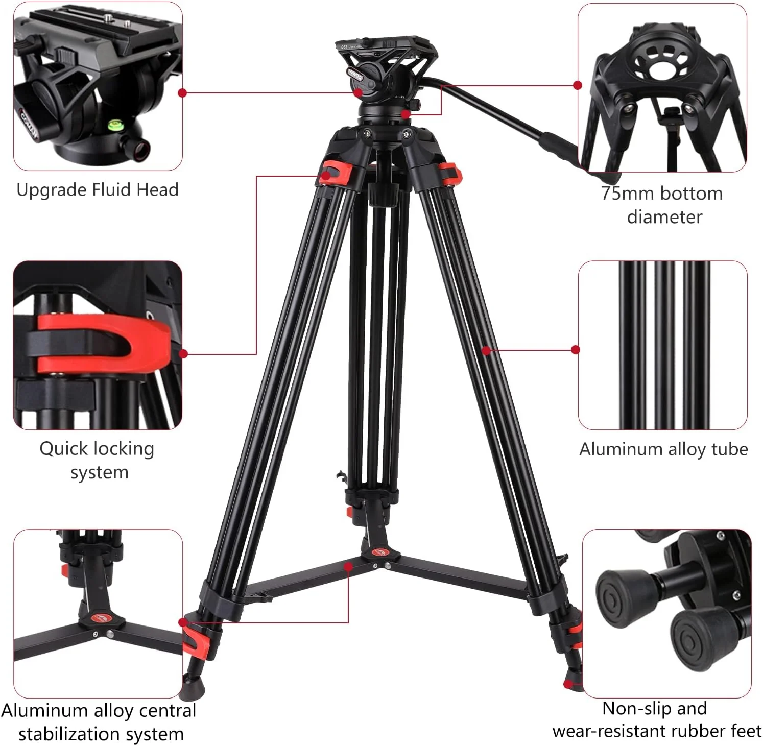 COMAN DF16LS 74.4” Heavy Duty Video Tripod with Fluid Head | 17.6lbs Load - Image 11